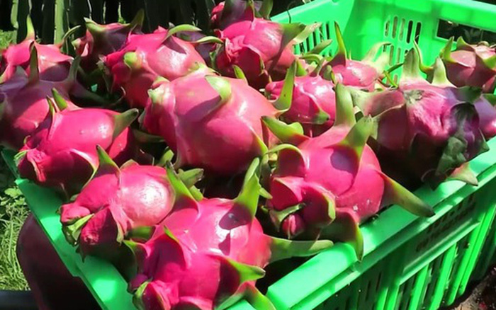 Les produits agricoles et aquatiques vietnamiens bien appréciés en Russie